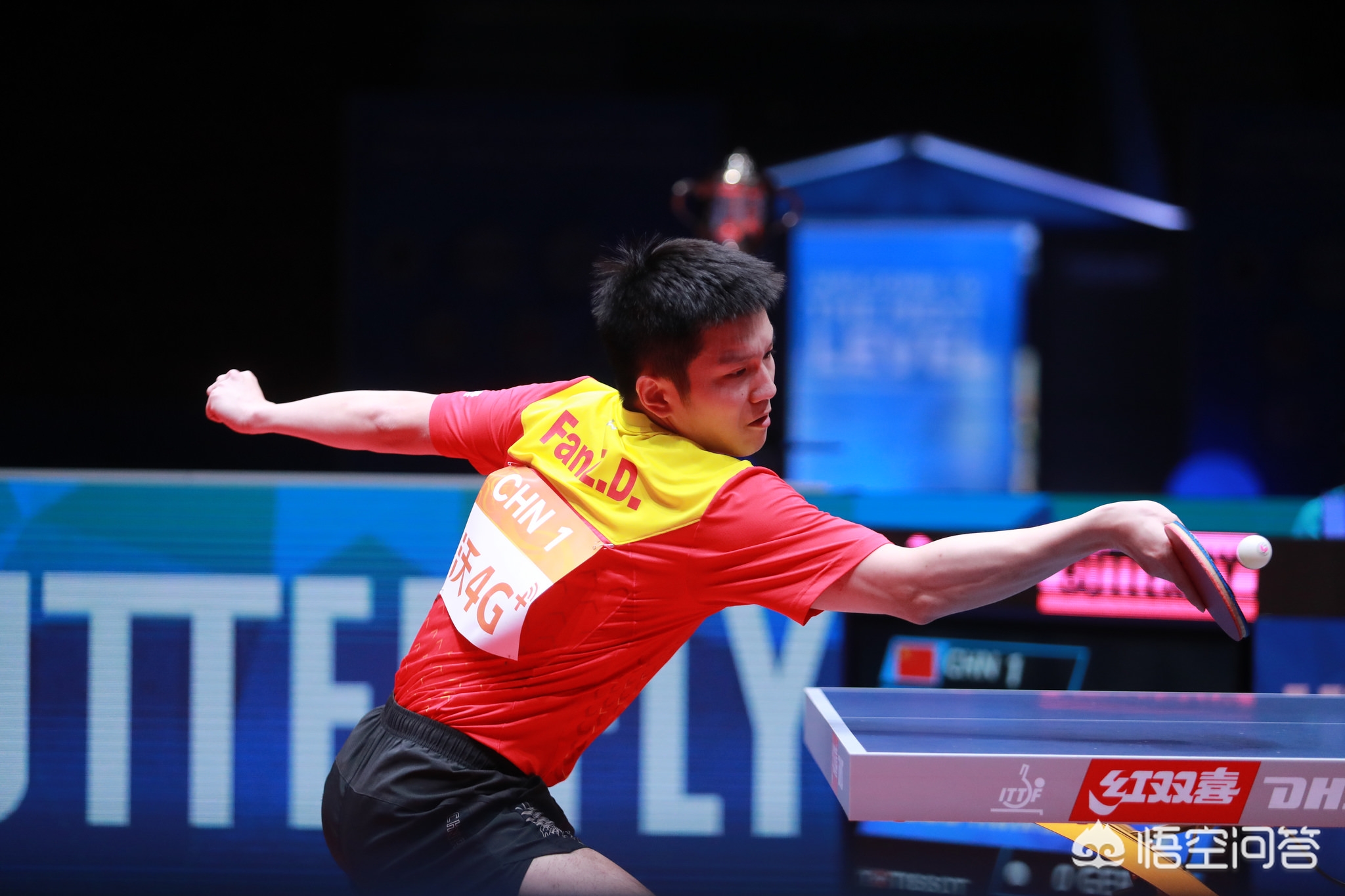 每一个球员 每一个球员