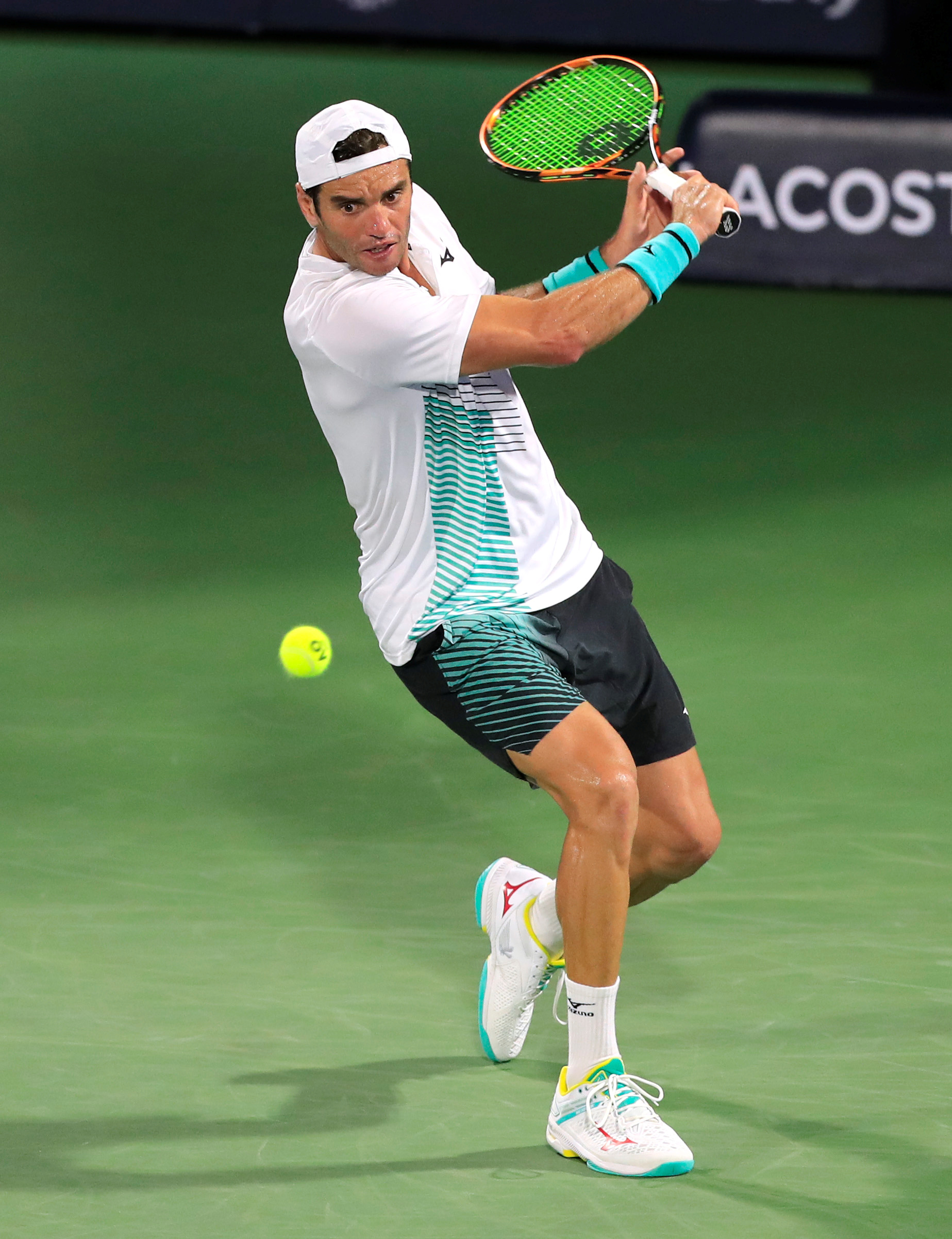 他的身体素 他的身体素