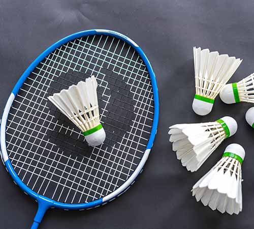 的一大亮点 的一大亮点