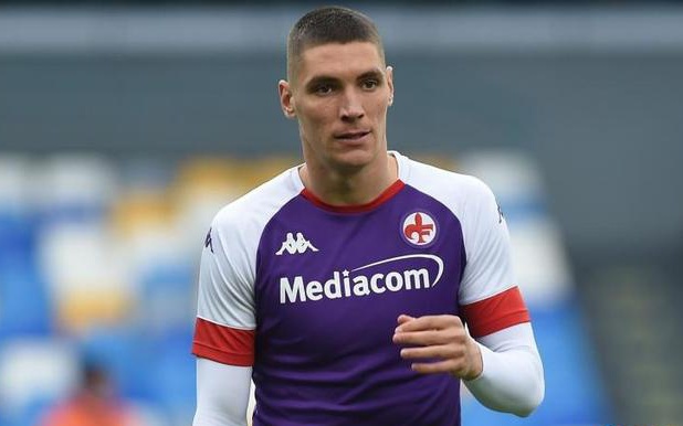 望引入巴伊 望引入巴伊